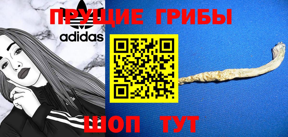Псилоцибиновые грибы Psilocybe Туймазы