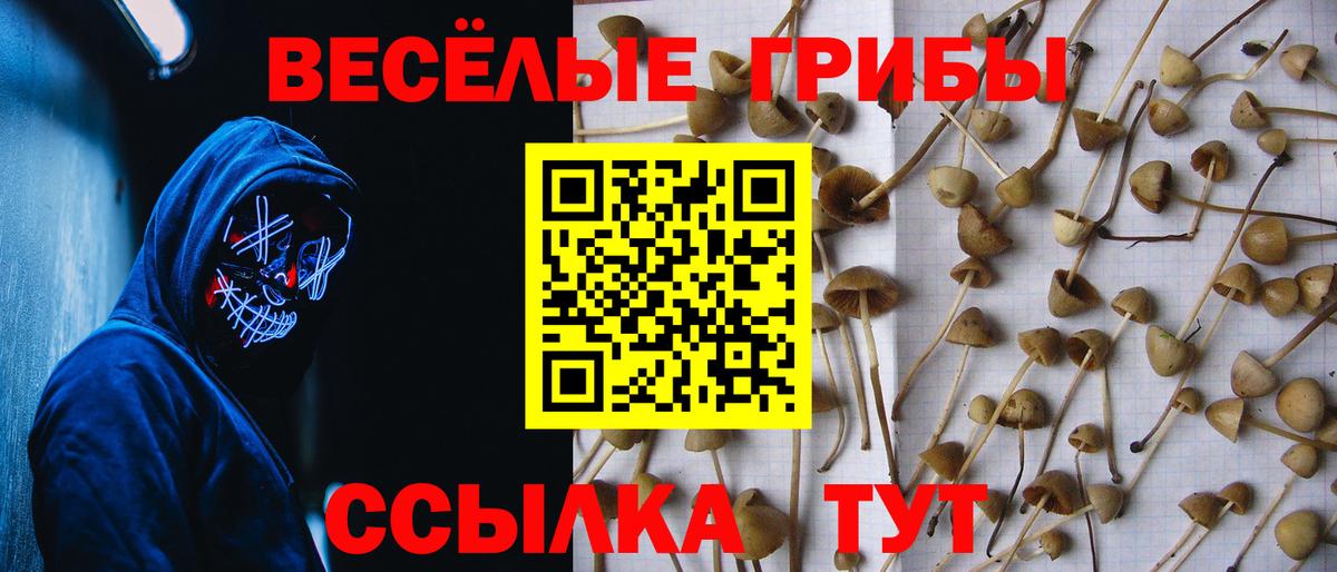 Туймазы  Галлюциногенные грибы Magic Shrooms  Вход с VPN 